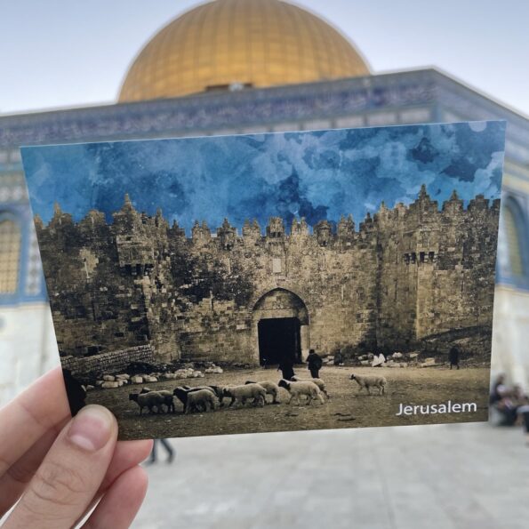 Lot de 3 cartes postales – Image 10
